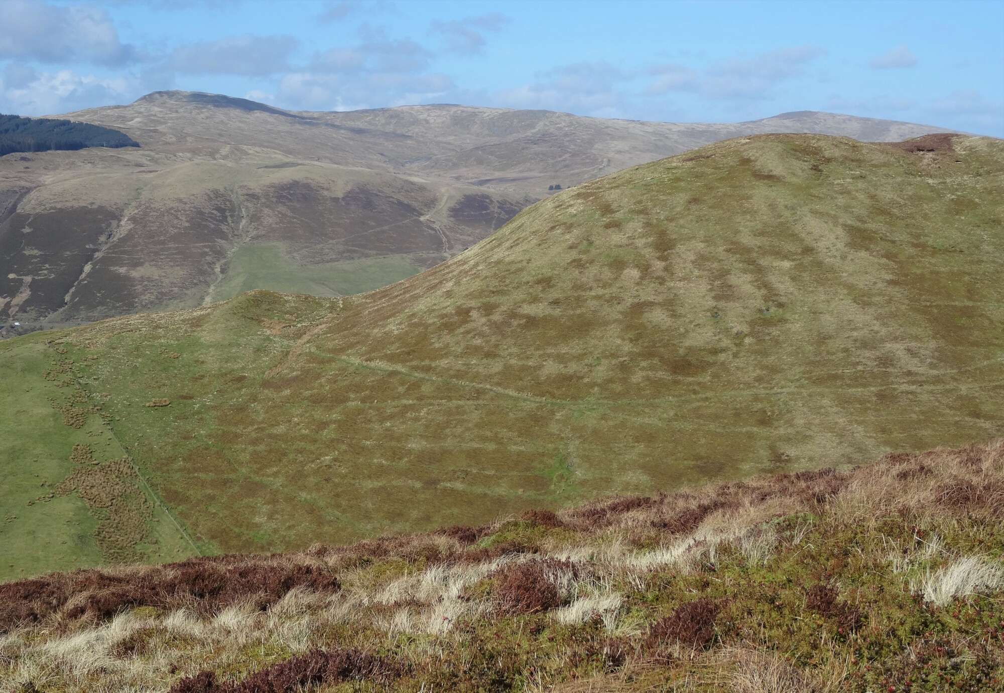 RachelSeabrook.net | Wild Walking | Ponterwyd and Pen Dihewyd | pic33